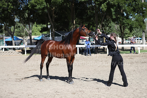 DAHA_Spring21_Fri_1558