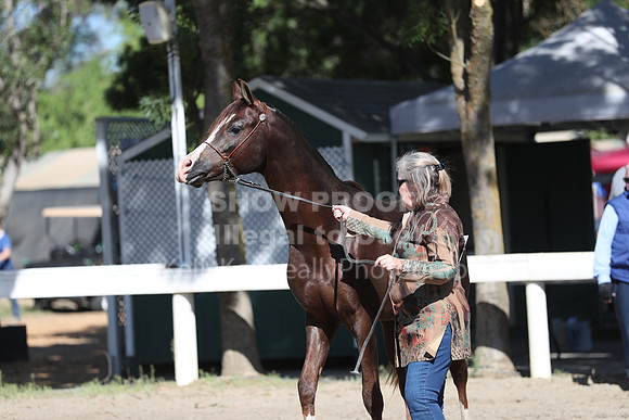 DAHA_Spring21_Fri_1566