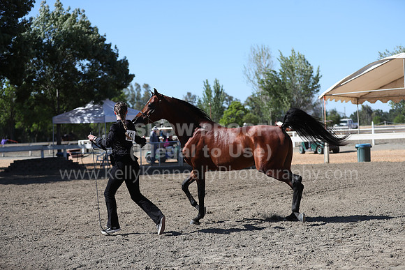 DAHA_Spring21_Fri_1565