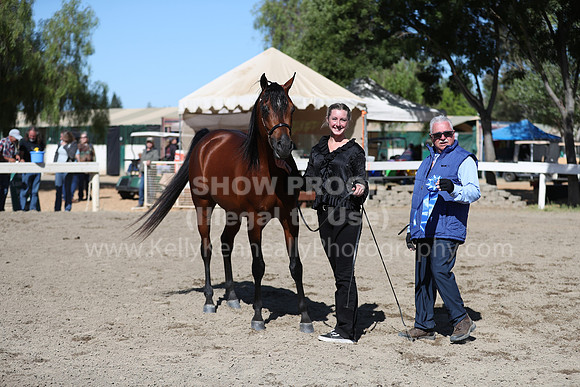 DAHA_Spring21_Fri_1578