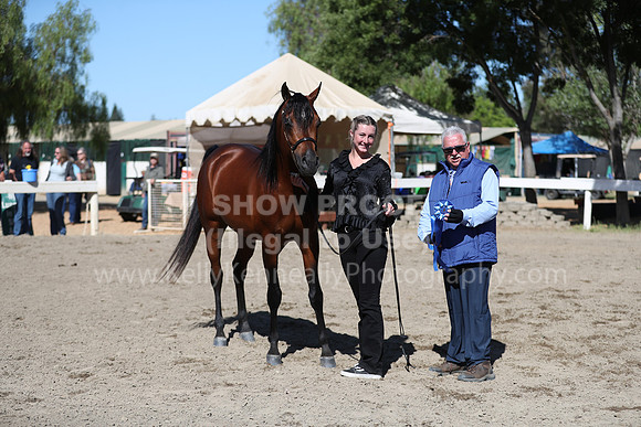 DAHA_Spring21_Fri_1579