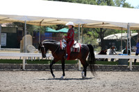 DAHA_Spring21_Thurs_0488