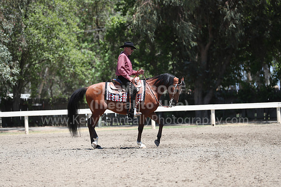 DAHA_Spring21_Thurs_0475