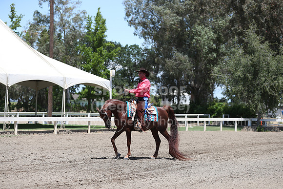 DAHA_Spring21_Thurs_0478