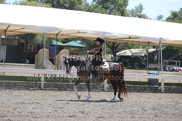 DAHA_Spring21_Thurs_0531