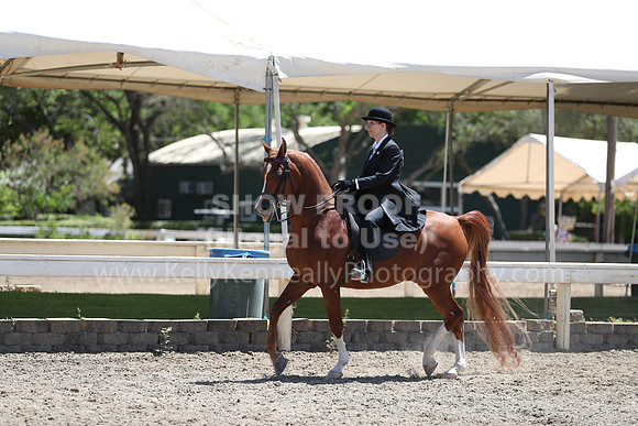 DAHA_Spring21_Thurs_0736