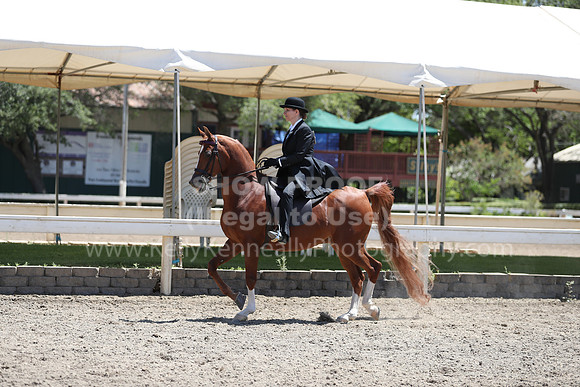 DAHA_Spring21_Thurs_0738