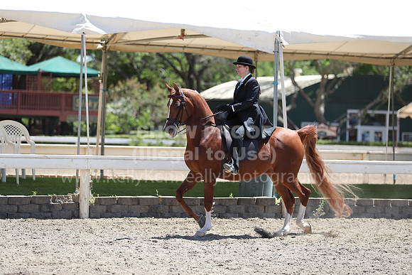 DAHA_Spring21_Thurs_0737