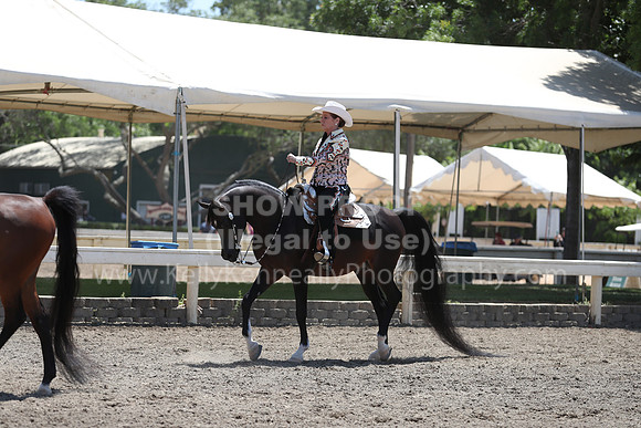 DAHA_Spring21_Thurs_0538