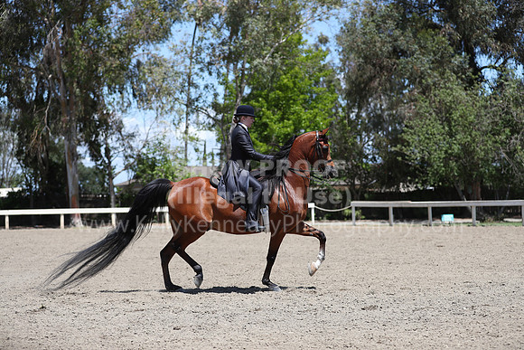 DAHA_Spring21_Thurs_0744