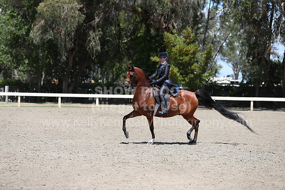 DAHA_Spring21_Thurs_0747