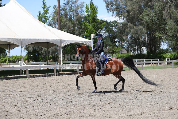 DAHA_Spring21_Thurs_0753