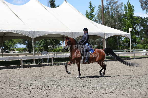 DAHA_Spring21_Thurs_0754