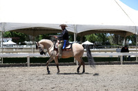 DAHA_Spring21_Thurs_0729