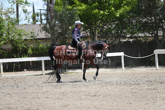 DAHA_Spring21_Thurs_0559