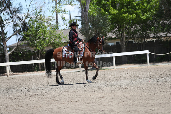 DAHA_Spring21_Thurs_0557