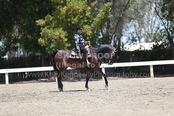 DAHA_Spring21_Thurs_0560