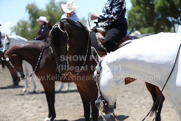 DAHA_Spring21_Thurs_0564