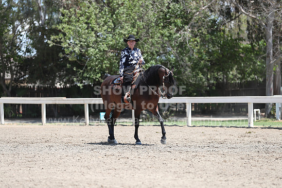 DAHA_Spring21_Thurs_0562