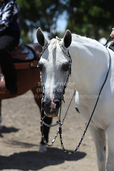 DAHA_Spring21_Thurs_0569