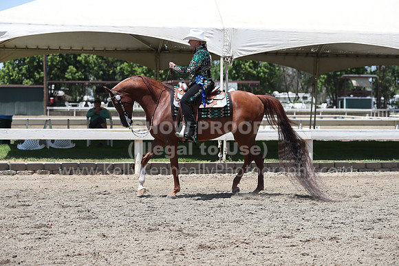DAHA_Spring21_Thurs_0590