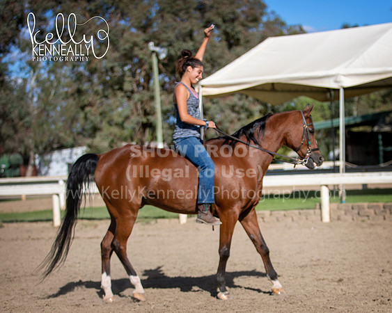 DAHA_Spring21_Sat_4103