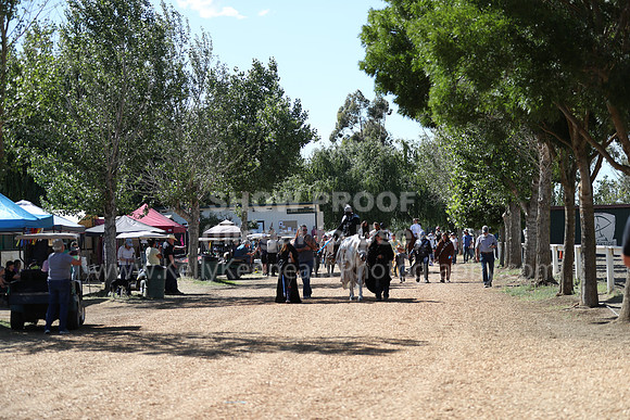 DAHA_Spring21_Sat_3900