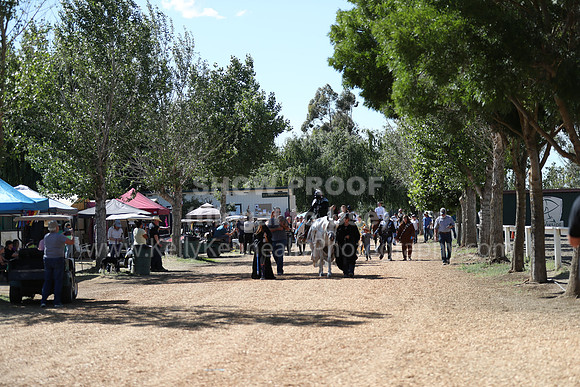 DAHA_Spring21_Sat_3901