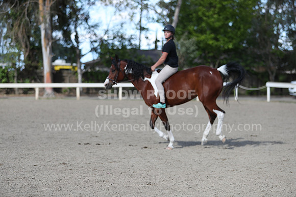 DAHA_Spring21_Sat_4095