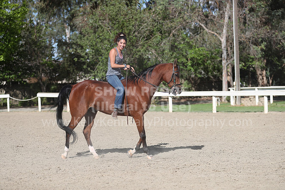 DAHA_Spring21_Sat_4098