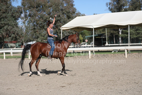 DAHA_Spring21_Sat_4102
