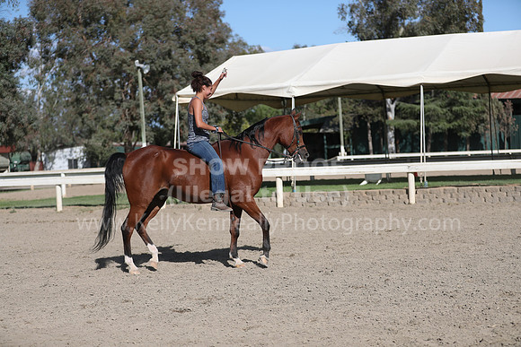 DAHA_Spring21_Sat_4104