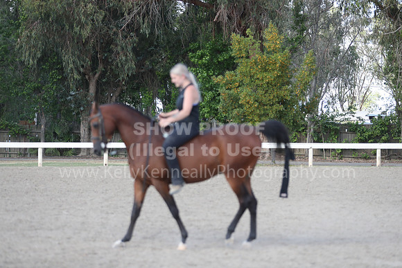 DAHA_Spring21_Sat_4107