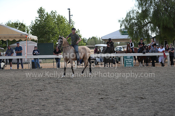 DAHA_Spring21_Sat_4127