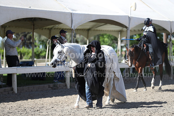 DAHA_Spring21_Sat_3973