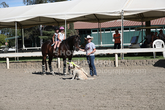 DAHA_Spring21_Sat_4013