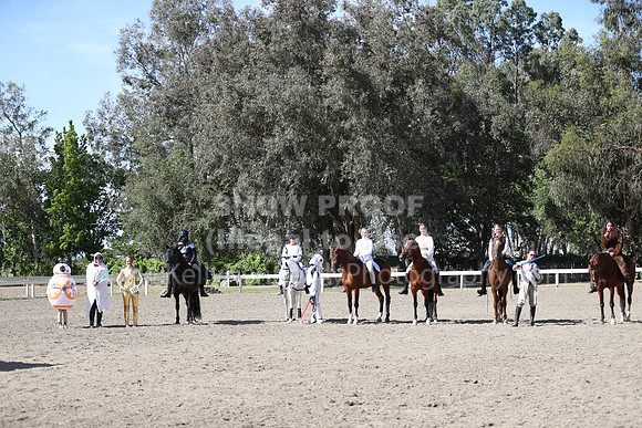 DAHA_Spring21_Sat_4017
