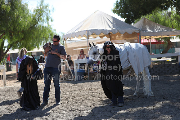 DAHA_Spring21_Sat_4028