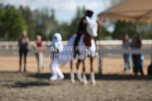DAHA_Spring21_Sat_4063