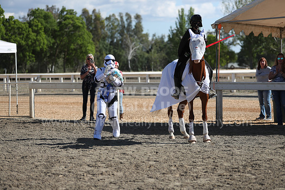 DAHA_Spring21_Sat_4064