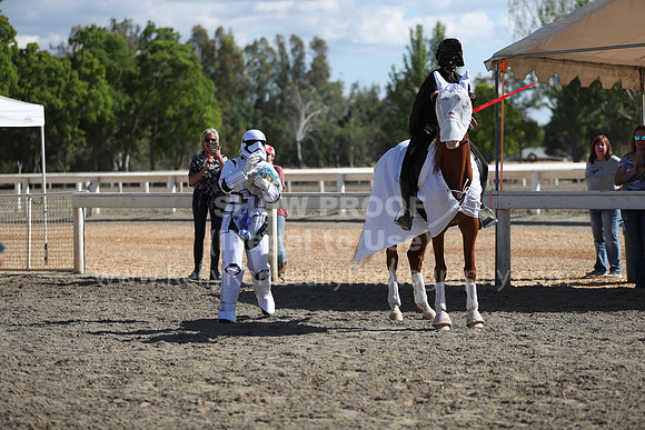 DAHA_Spring21_Sat_4065