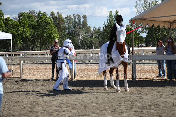 DAHA_Spring21_Sat_4067