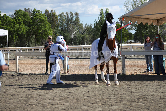 DAHA_Spring21_Sat_4068