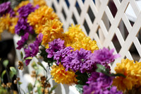 DAHA_Spring21_Thurs_0829