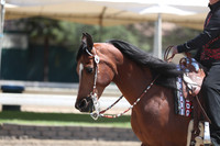 DAHA_Spring21_Thurs_0844