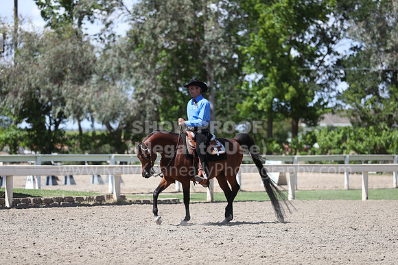DAHA_Spring21_Thurs_0892