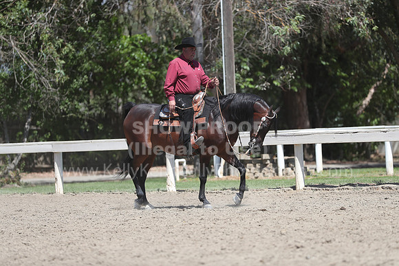 DAHA_Spring21_Thurs_0904
