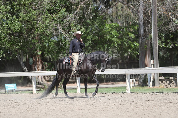 DAHA_Spring21_Thurs_0906