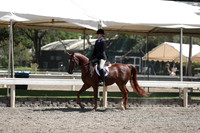 DAHA_Spring21_Thurs_0933