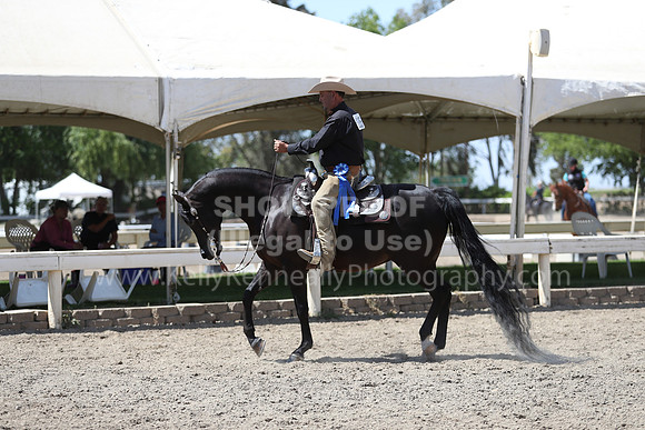DAHA_Spring21_Thurs_0918